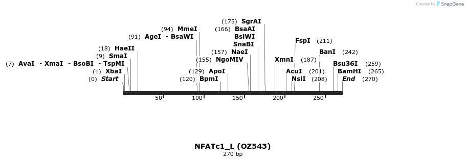 13282_map