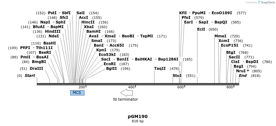 132830_map