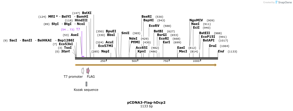 132842_map