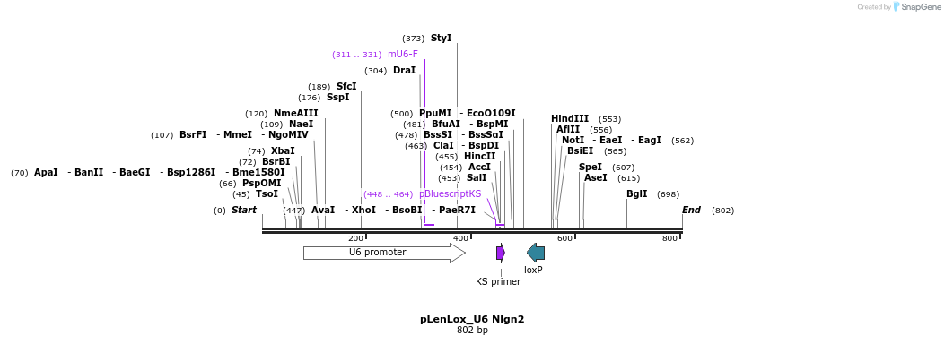 132851_map