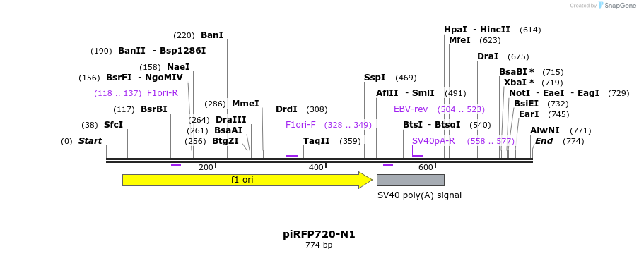 132853_map