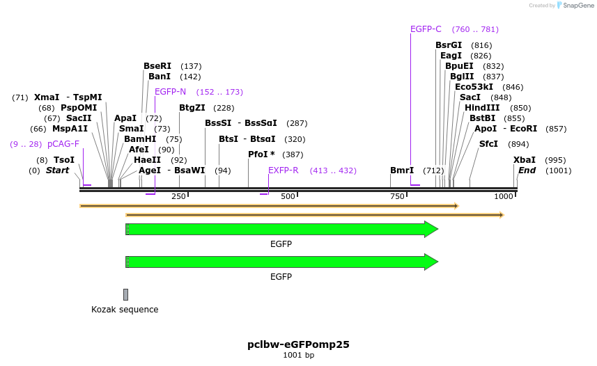 132855_map