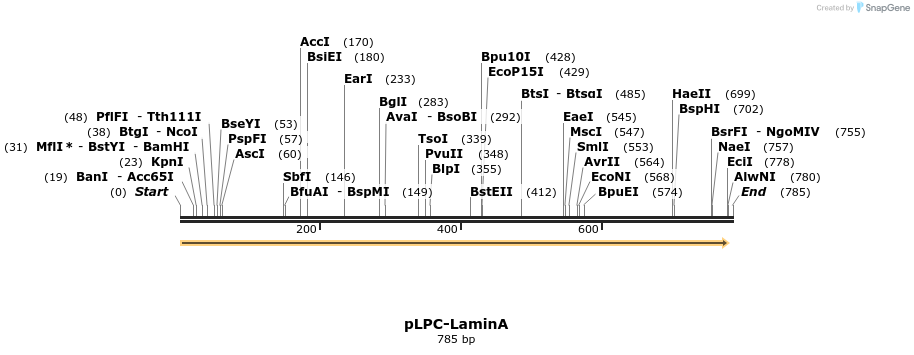 132859_map