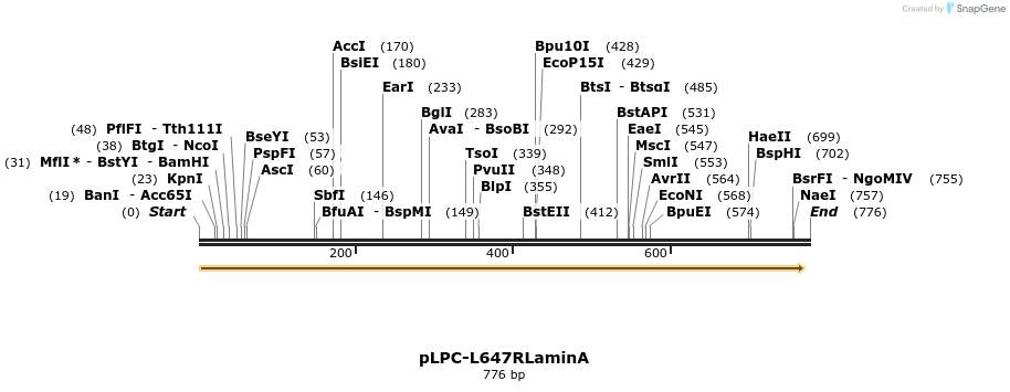 132860_map