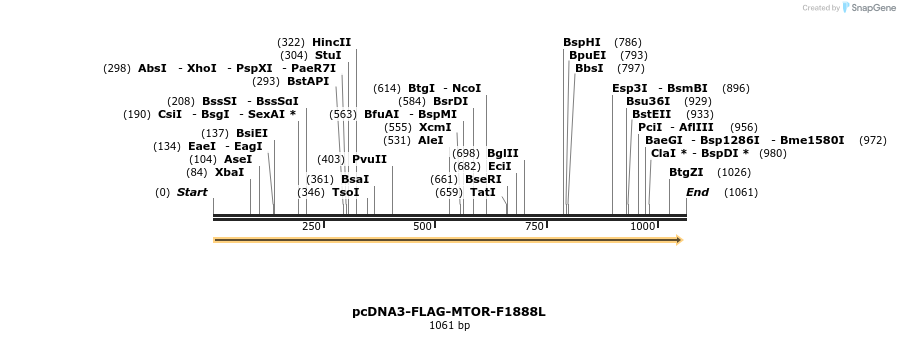 132862_map