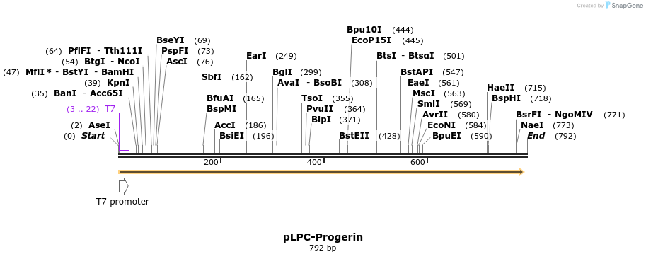 132863_map