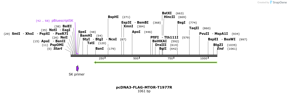 132869_map