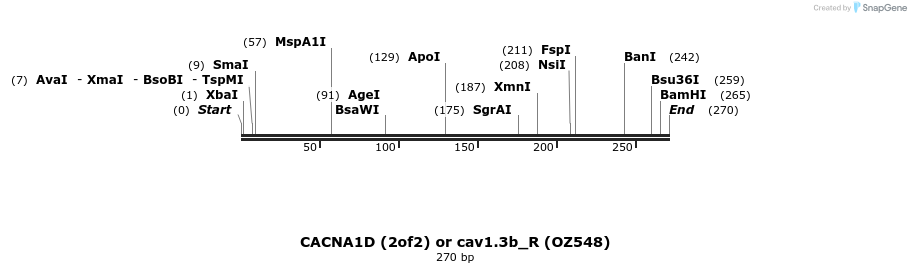 13287_map