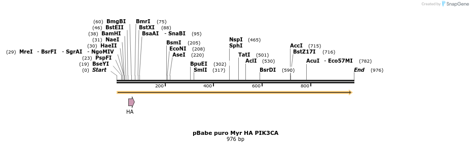 132877_map