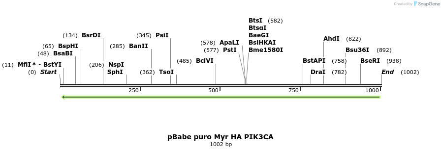 132878_map
