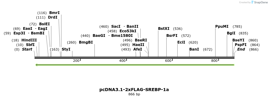 132887_map