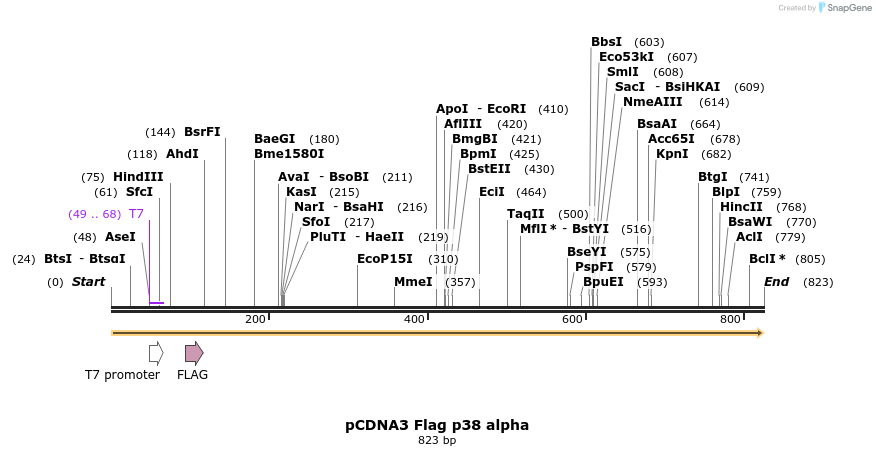 132897_map