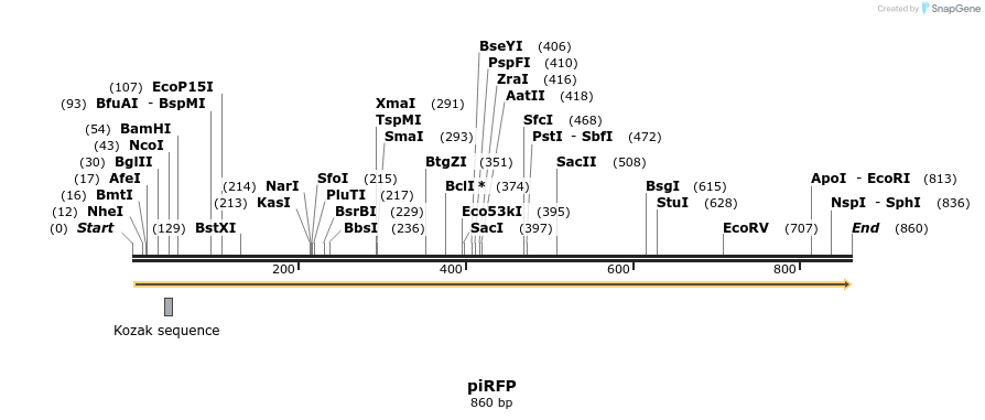 132904_map