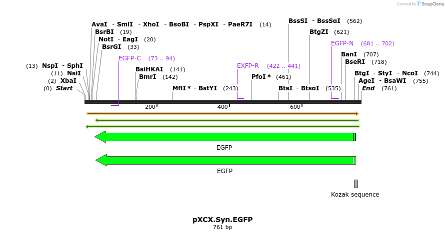 132908_map