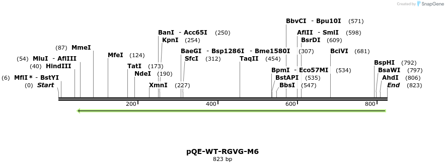 132909_map