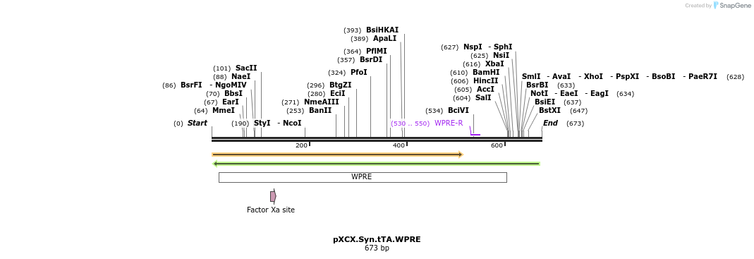 132911_map