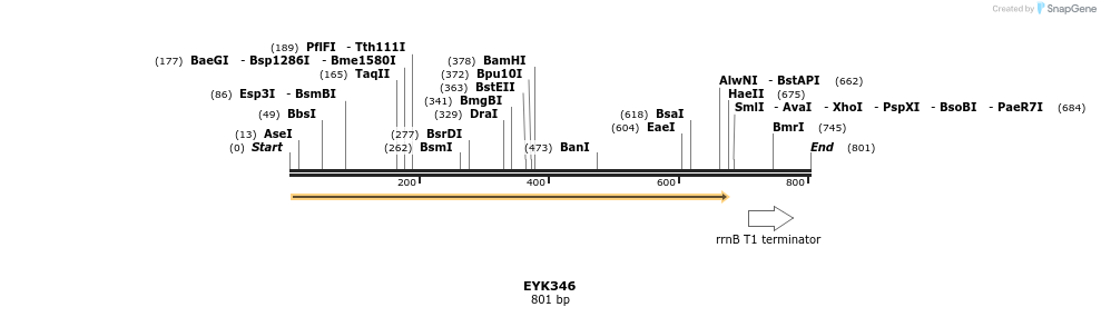 132916_map