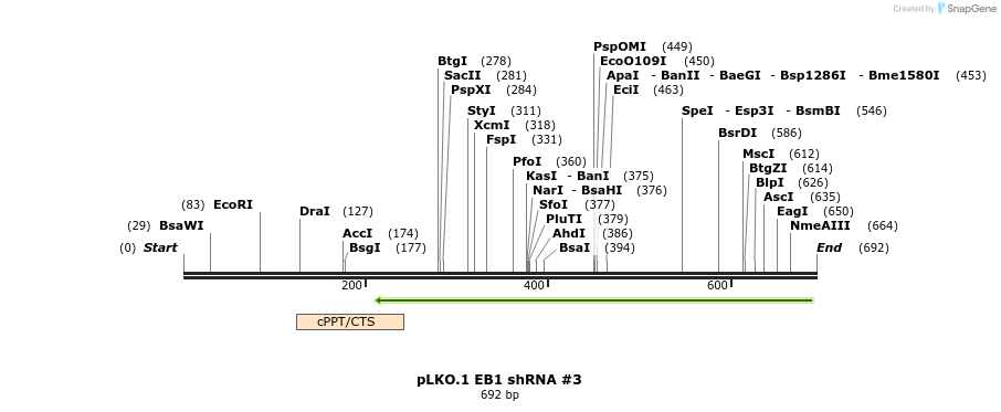 132919_map
