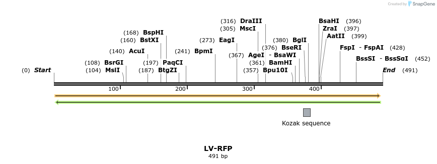 132927_map