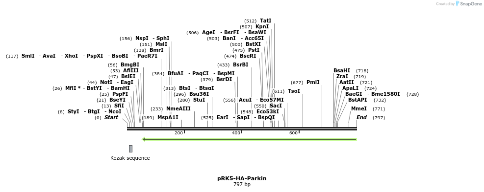 132929_map