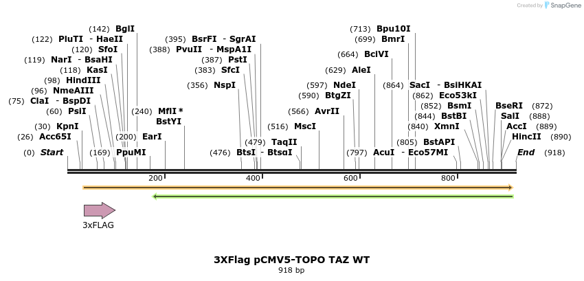 132931_map