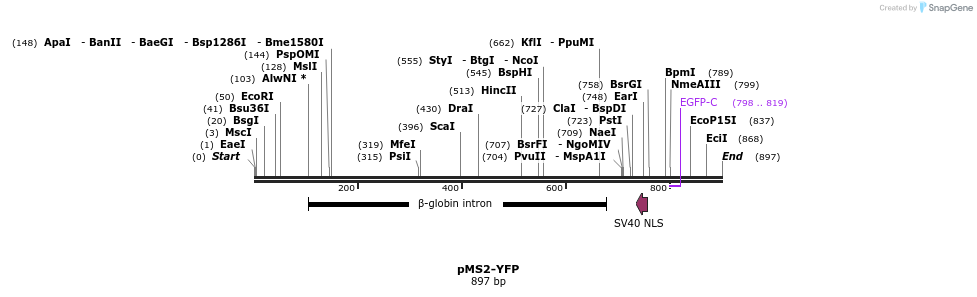 132933_map