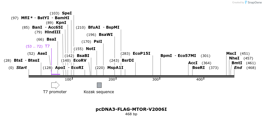 132937_map