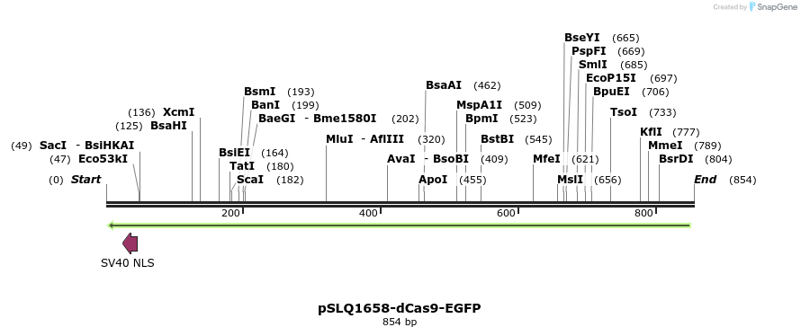 132942_map