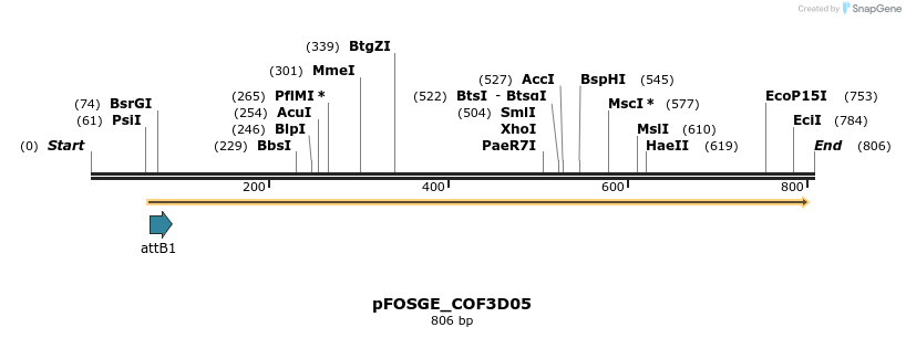 132943_map