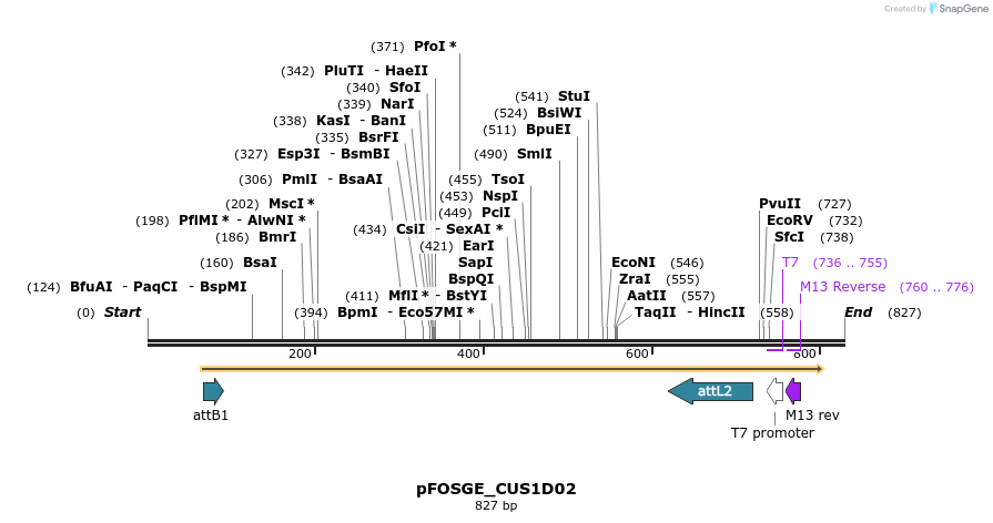 132947_map