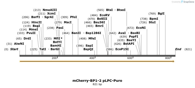 132950_map