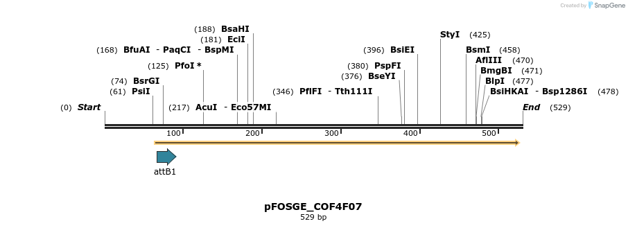 132952_map