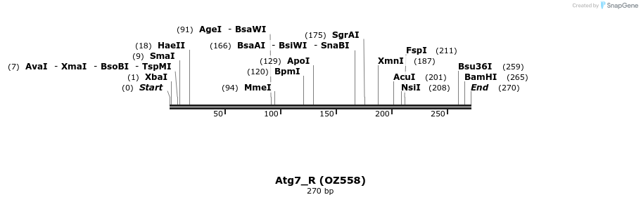 13297_map