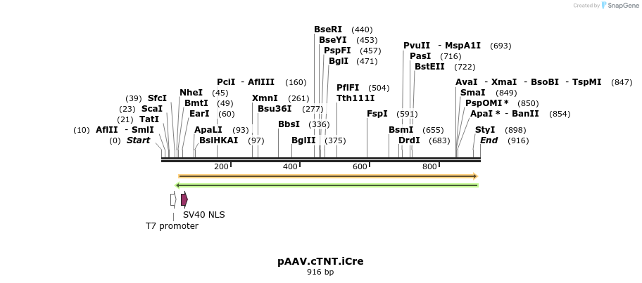 132975_map