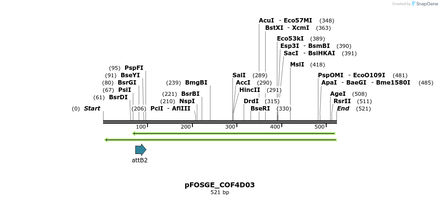 132977_map