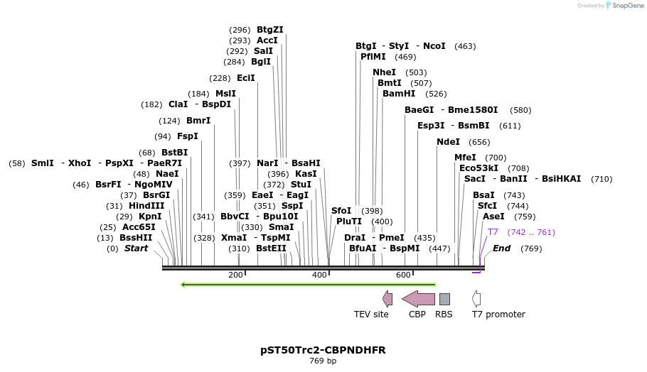 132978_map