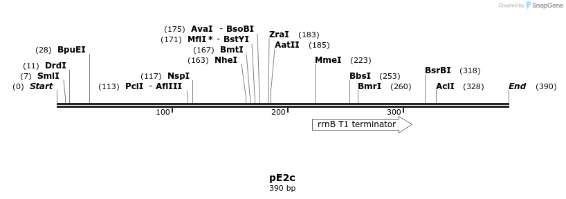 132979_map
