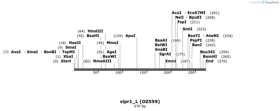 13298_map