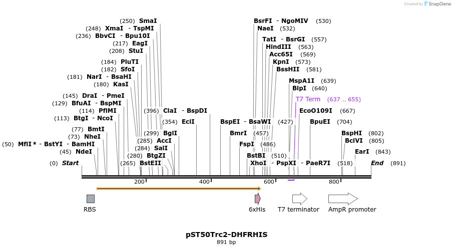 132983_map