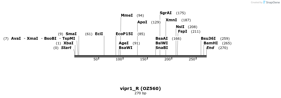 13299_map