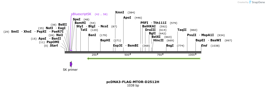 132990_map