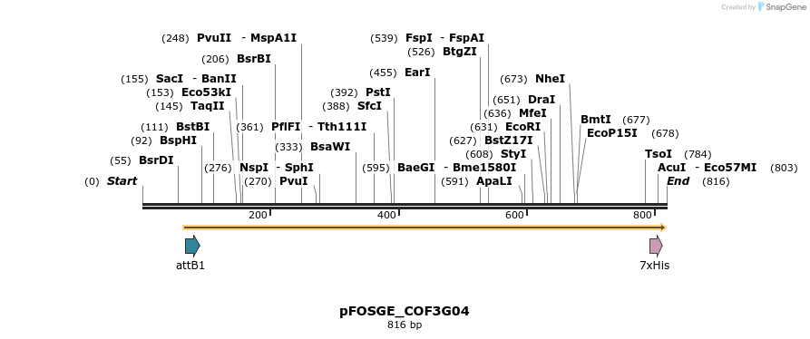 132992_map