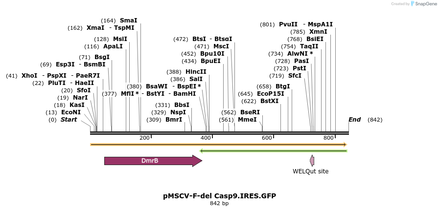 133006_map