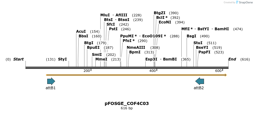 133011_map