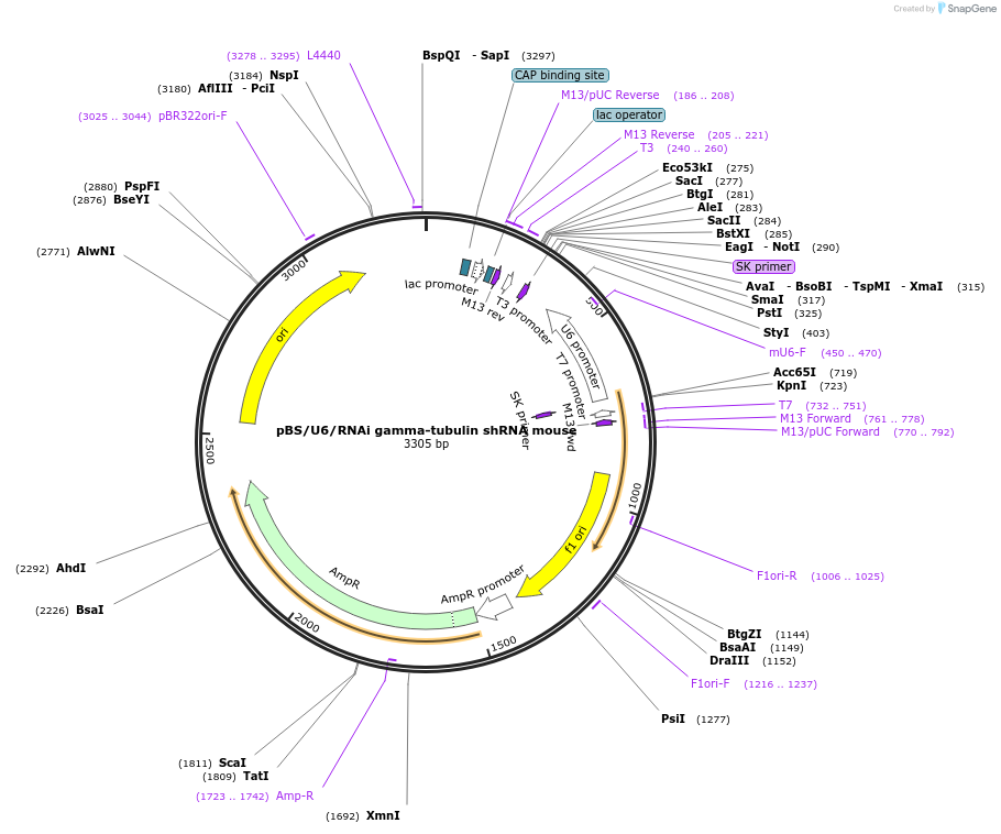 70666-plasmid-map-sequence-id-133021