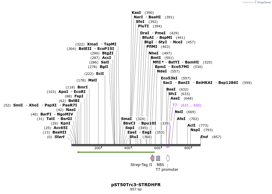 133027_map