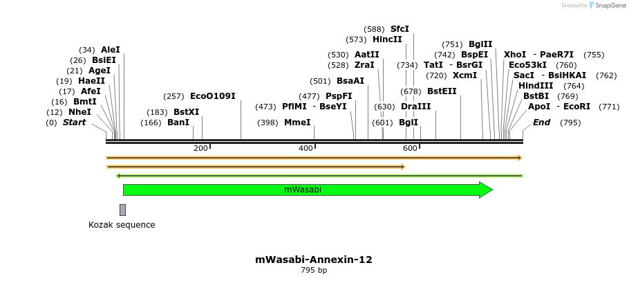 133030_map