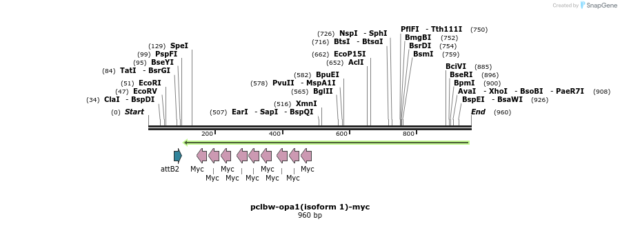 133035_map