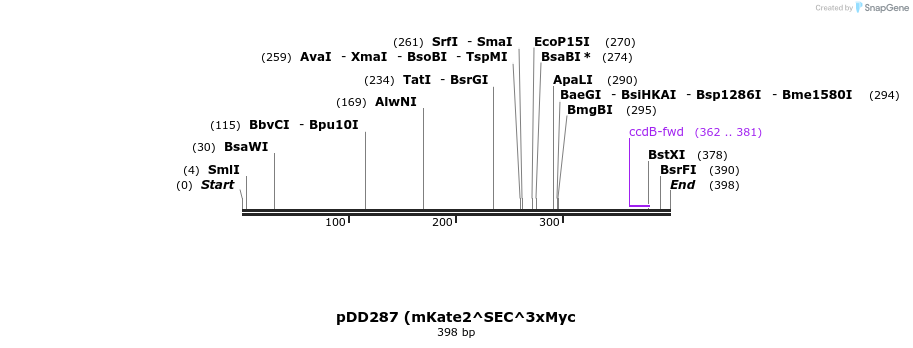 133036_map