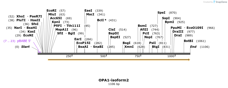 133040_map